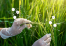 Biotecnologia: A Ciência que Revoluciona o Futuro